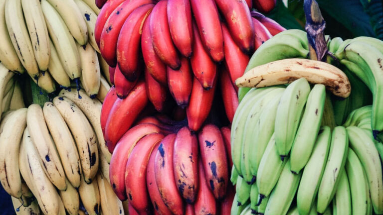 Nutrition Info For a Banana